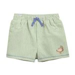 Stripe Embroidered  Duck Boys Swim Trunks