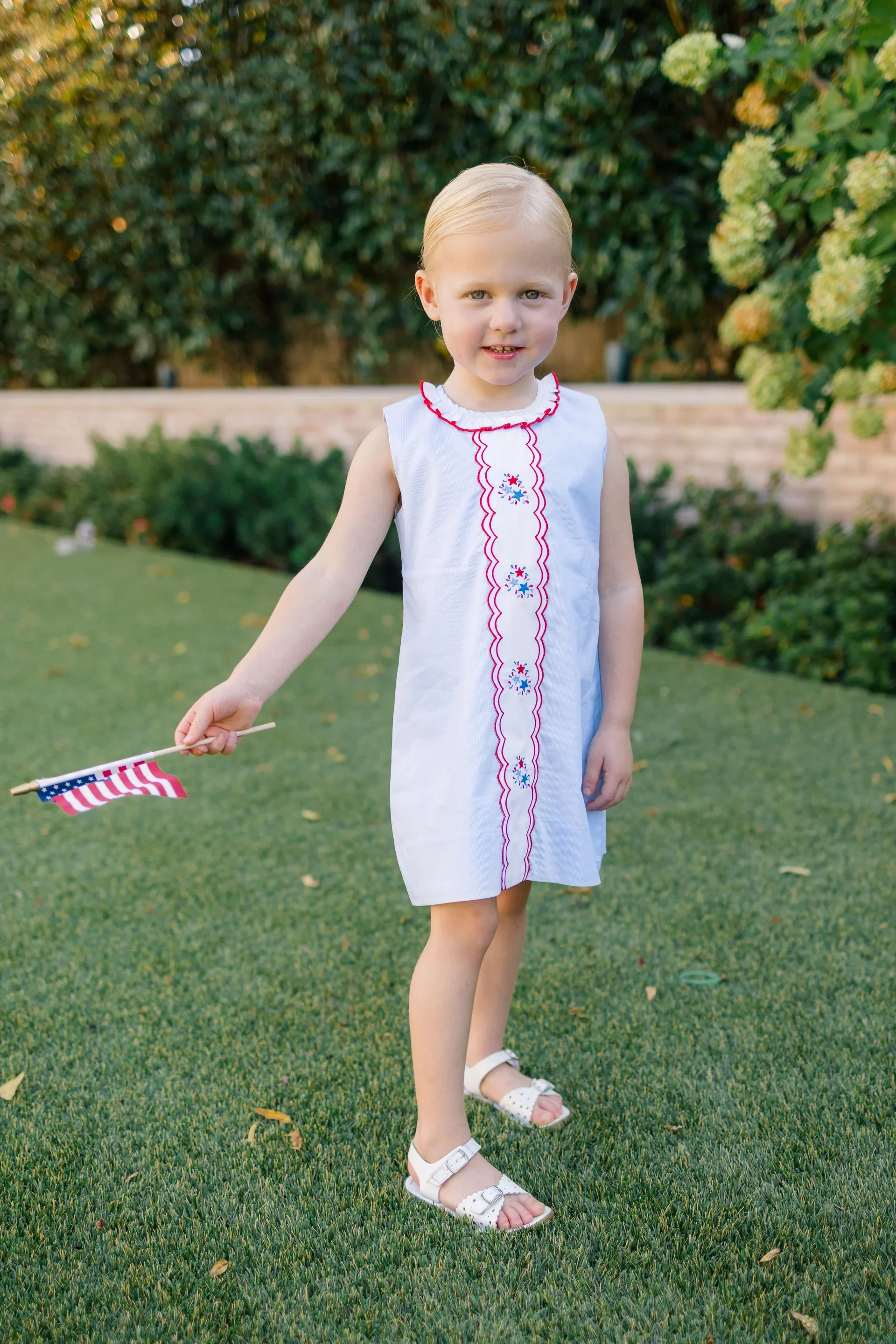 THE PROPER PEONY Revere Fireworks Dress - Image 4